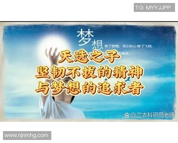 深度对话刘磊排球人生的起伏与梦想追逐之旅